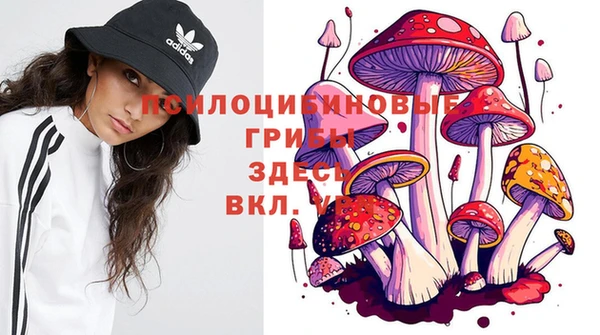 ECSTASY Балахна