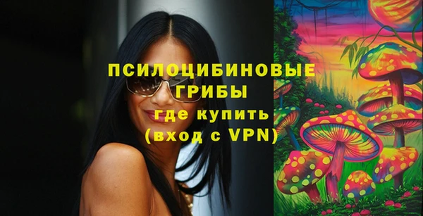 шишки Сосновка